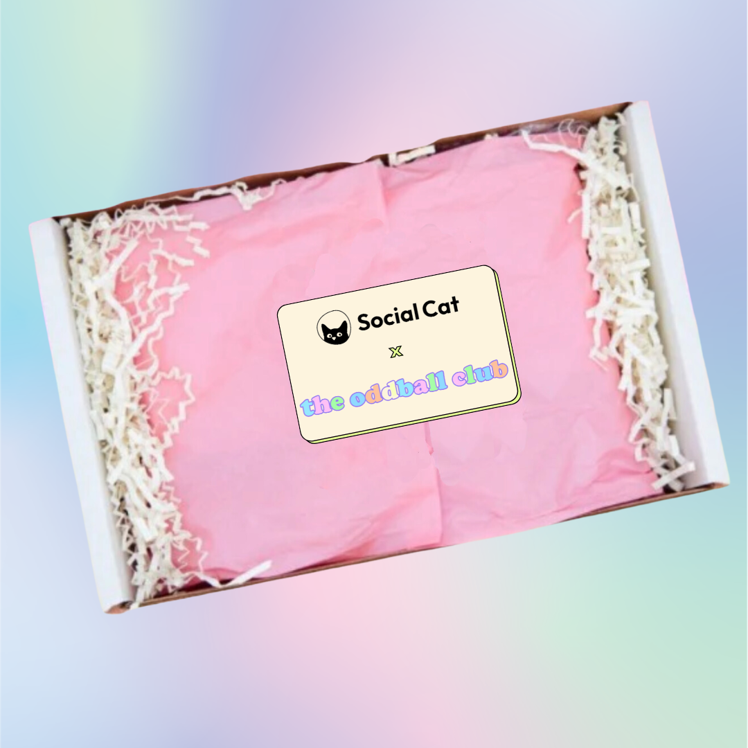 Social Cat Collaborator Box Review