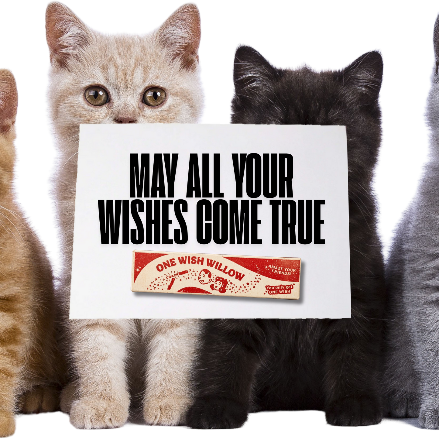 Obsession Movie Inspired One Wish Willow Greeting Card