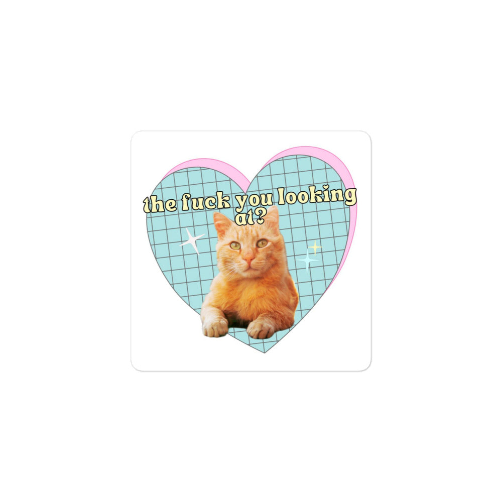 The F You Looking At Cat sticker