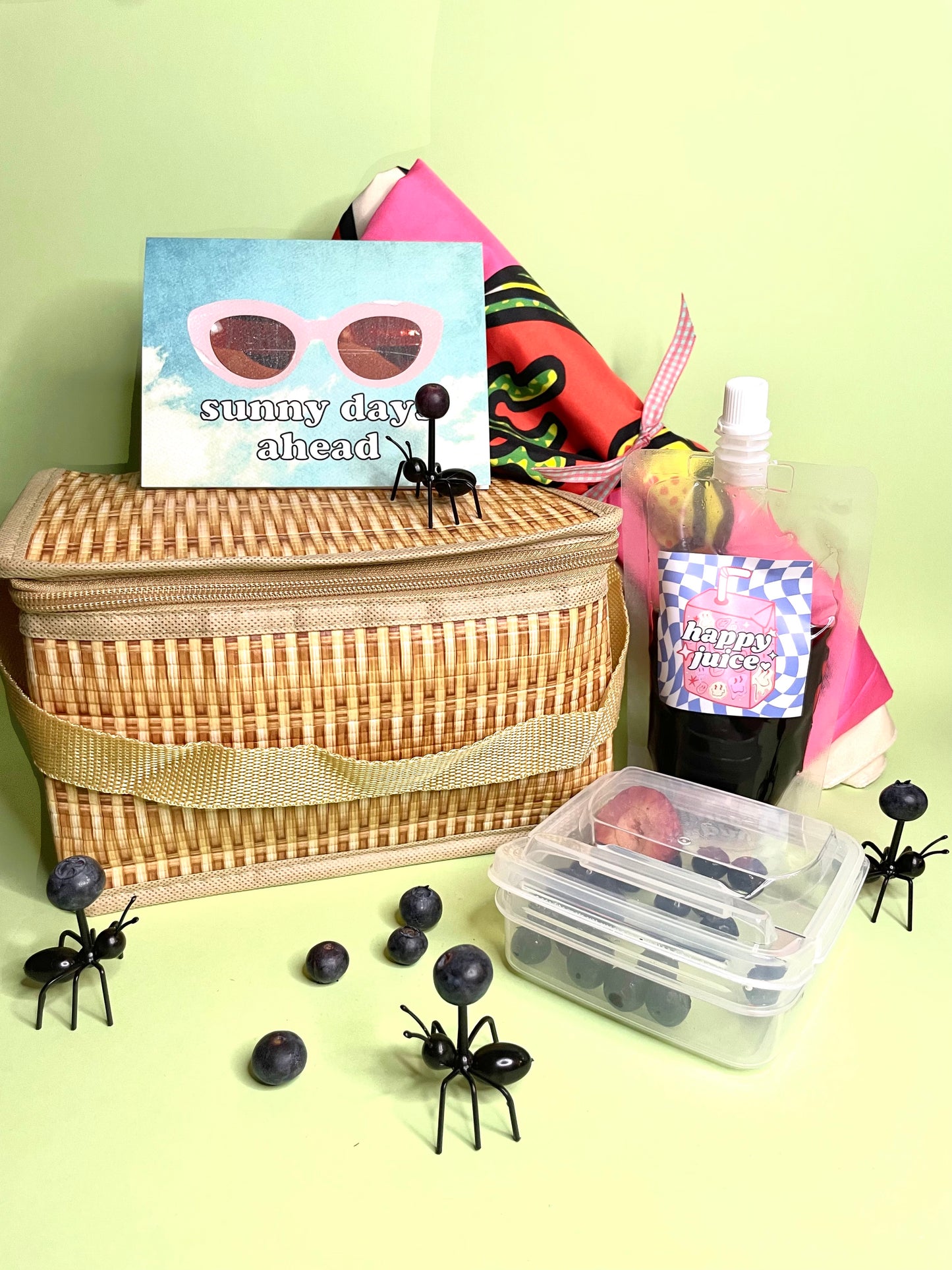 Social Cat Collaborator Box Review