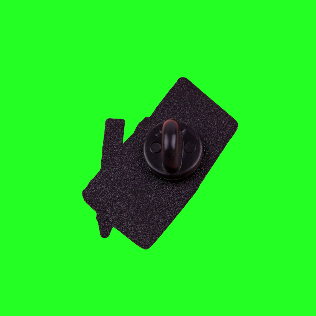 Stan Culture Dear Fan I Wrote You Enamel Pin Iconic Millennial 2000 Rap and Hip Hop Lyrics Letter Enamel Pin