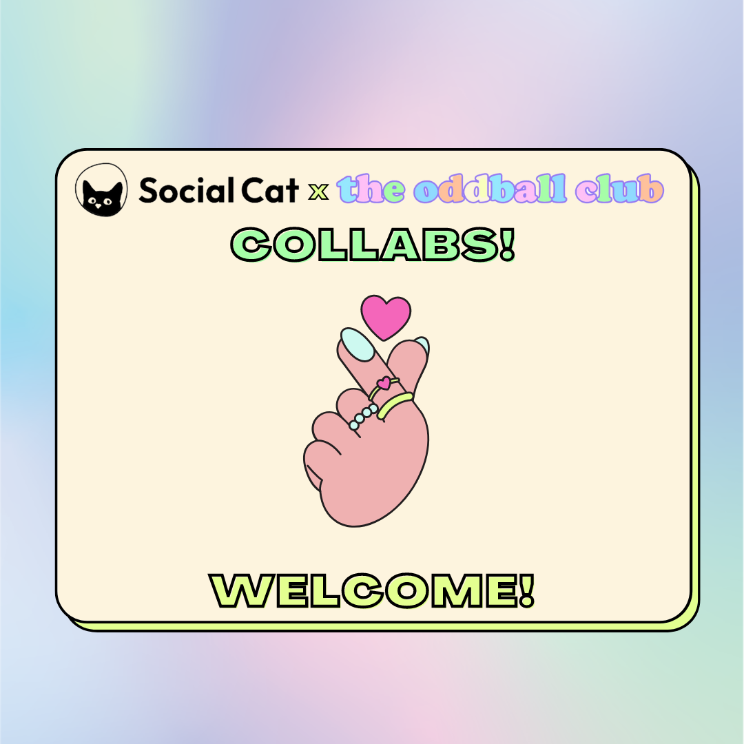 Social Cat Collaborator Box Review