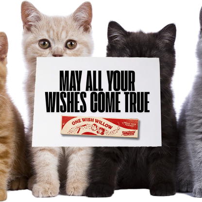 Obsession Movie Inspired One Wish Willow Greeting Card