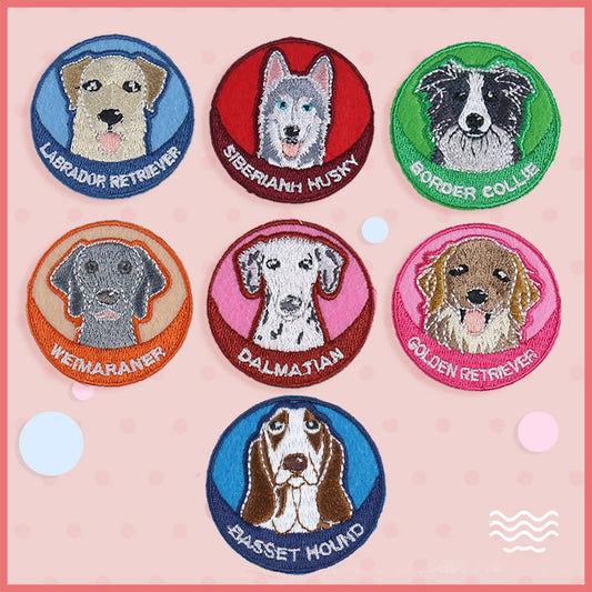 My Dog Patch