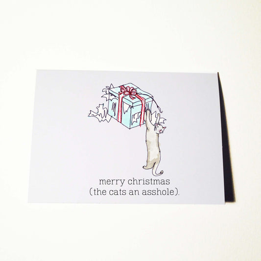 Cats an Asshole Christmas Card